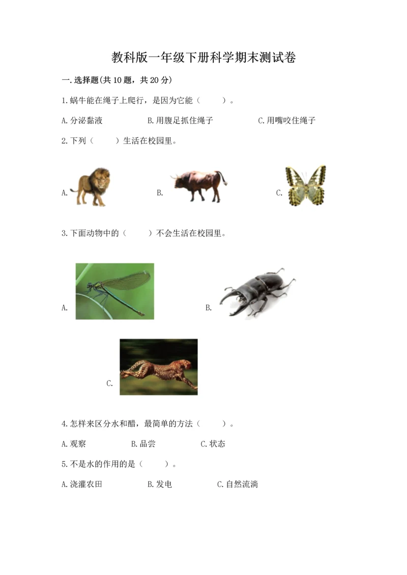 教科版一年级下册科学期末测试卷附参考答案（轻巧夺冠）.docx