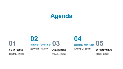 三年级：成长之路
