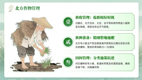 绿色中国风白露节气知识PPT模板