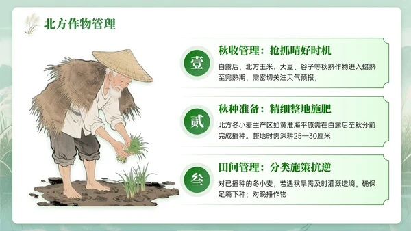 绿色中国风白露节气知识PPT模板