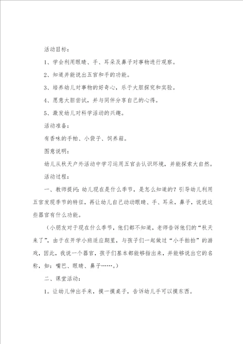 小班科学探索教案14篇