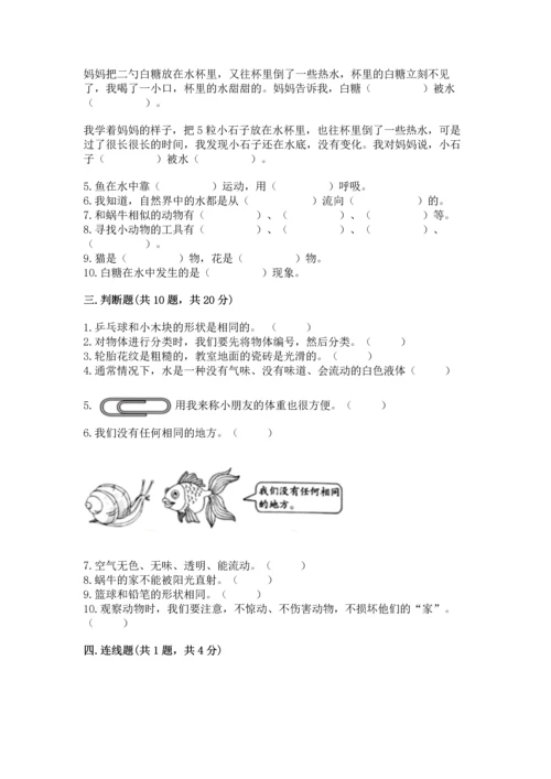 教科版一年级下册科学期末测试卷精品（基础题）.docx