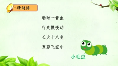 22《小毛虫》课件
