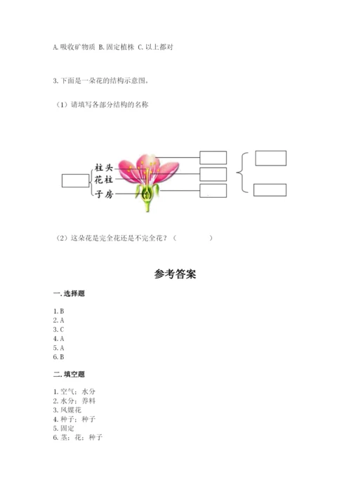 科学四年级下册第一单元植物的生长变化测试卷含答案（考试直接用）.docx