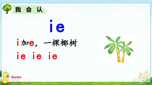 汉语拼音11  ie  üe  er 课件