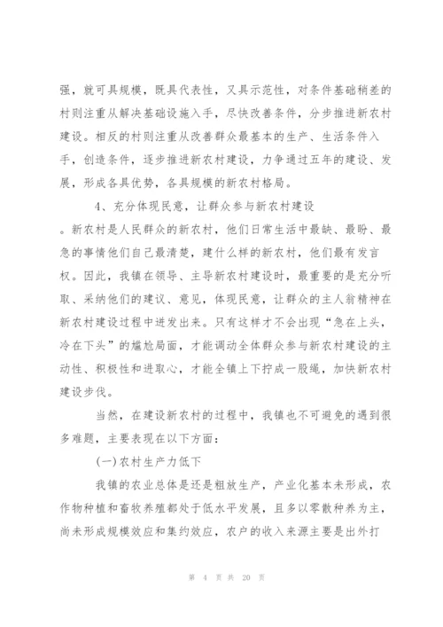 新农村建设调查报告范文.docx