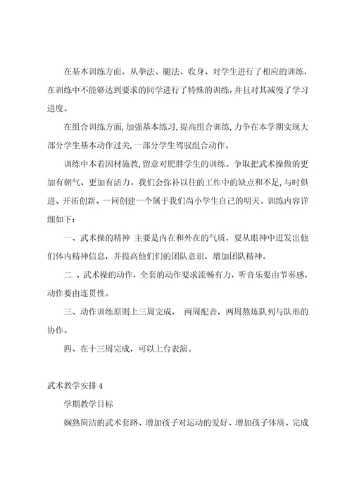 武术教学计划