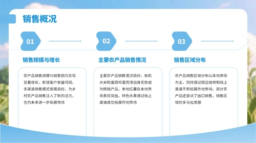蓝色3D风乡村农产品销售总结PPT