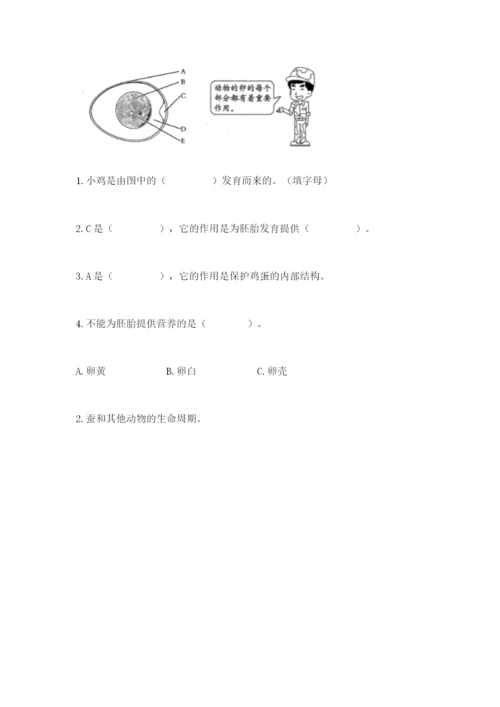 教科版小学科学三年级下册期末测试卷（b卷）.docx
