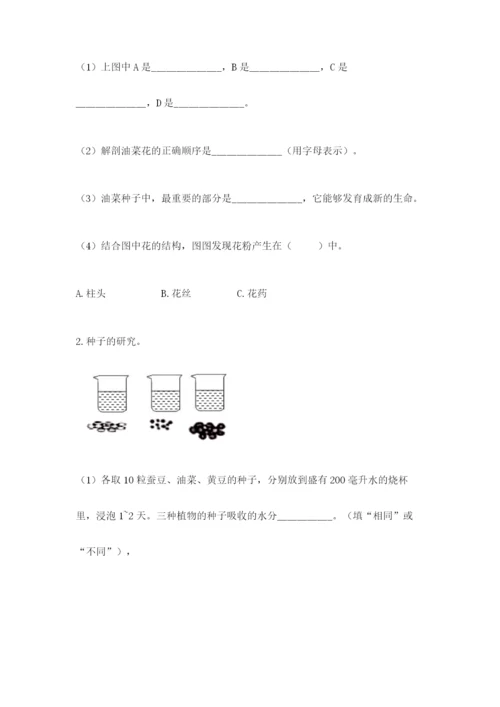 科学四年级下册第一单元植物的生长变化测试卷附完整答案（夺冠系列）.docx