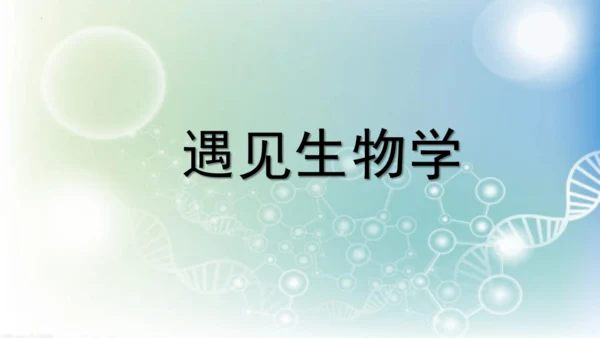 七年级生物学开学第一课-2023-2024学年七年级生物上册同步精品课堂（苏科版）(共32张PPT)