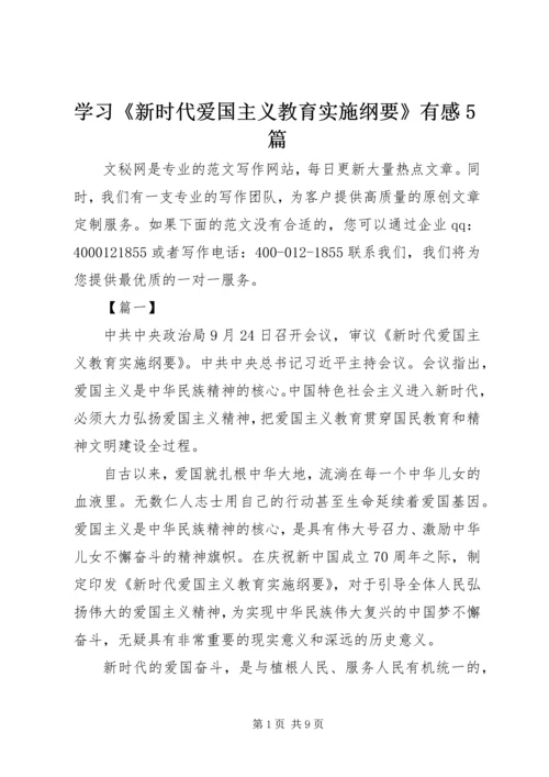 学习《新时代爱国主义教育实施纲要》有感5篇.docx