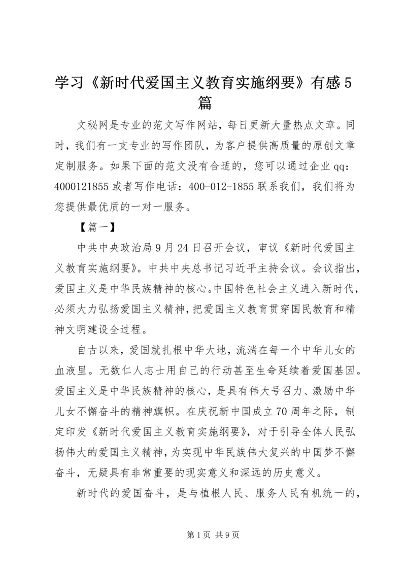 学习《新时代爱国主义教育实施纲要》有感5篇.docx