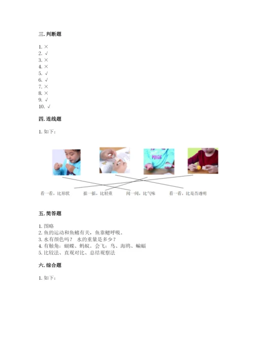 教科版一年级下册科学期末测试卷精品（全优）.docx