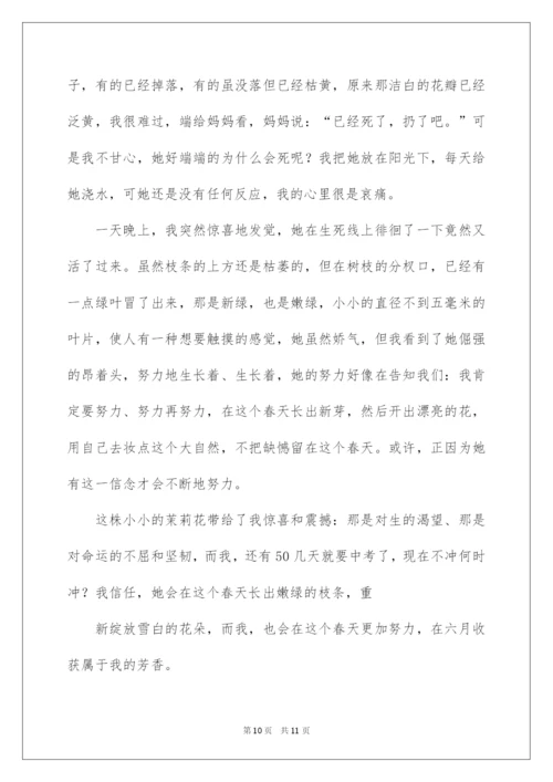 2022以惊喜为话题的作文.docx
