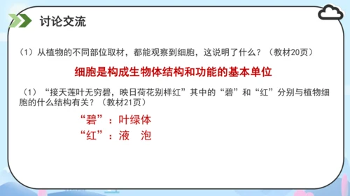 人教版（2024）七年级上册1.2.1 植物细胞 课件(共34张PPT)