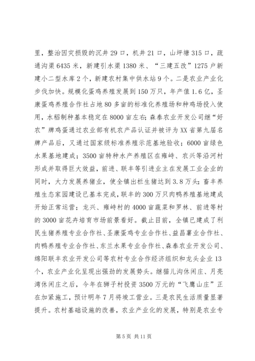 乡镇目标考核自查报告.docx