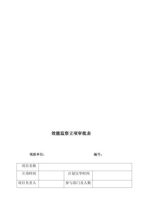 某大型央企效能监察实施细则.docx