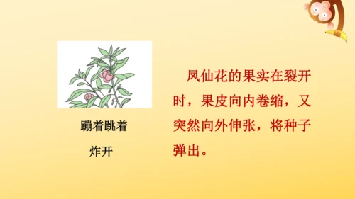 3 植物妈妈有办法  课件