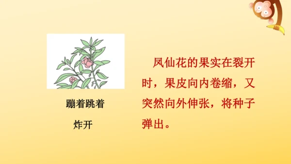 3 植物妈妈有办法  课件