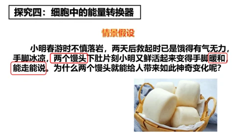2.1.4细胞的生活课件2023--2024学年人教版生物七年级上册(共34张PPT)