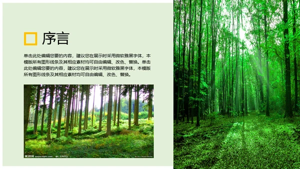 绿水青山就是金山银山通用PPT模板