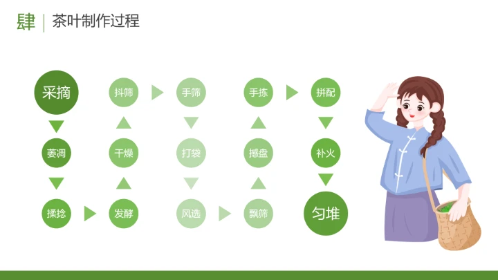 茶叶的故事 中国传统茶文化介绍主题班会课件