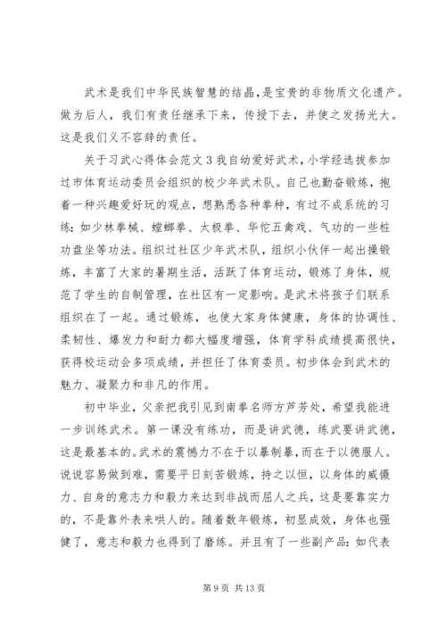 关于习武心得体会范文.docx