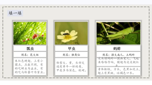 4昆虫备忘录   课件