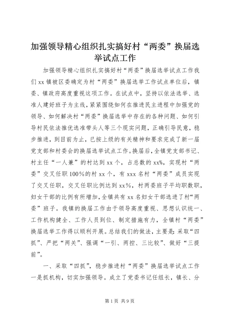 加强领导精心组织扎实搞好村“两委”换届选举试点工作.docx