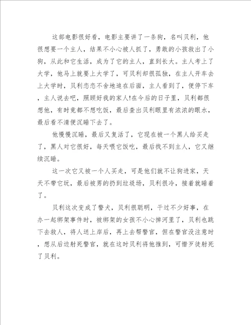 电影一条狗的使命观后感心得