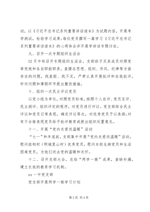 党支部开展两学一做学习计划.docx