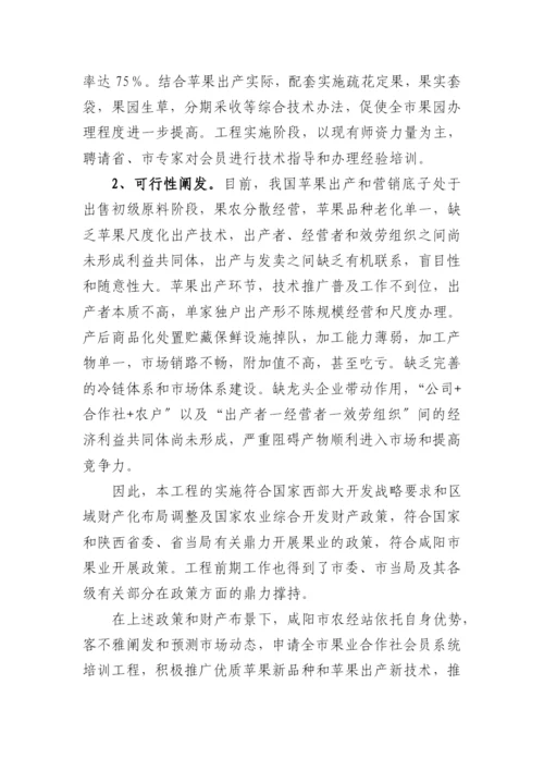 站果业项目申报书.docx