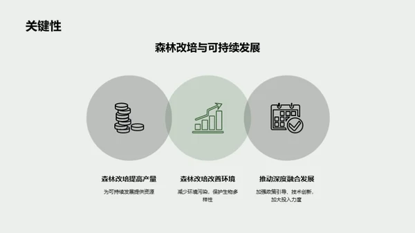 森林改培：绿色未来