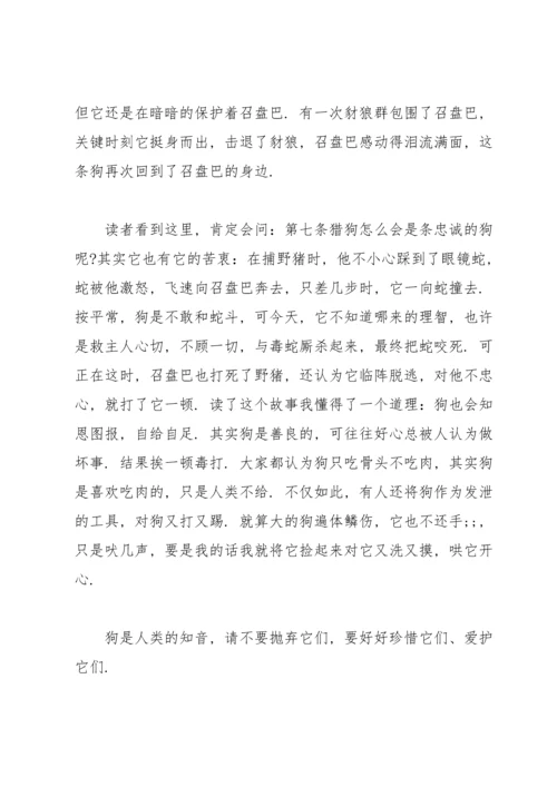 读《第七条猎狗》有感范文.docx