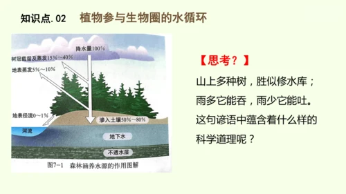 3.2.4植物在自然界中的作用-七年级生物下学期同步精品课件（2024人教版）(共27张PPT)