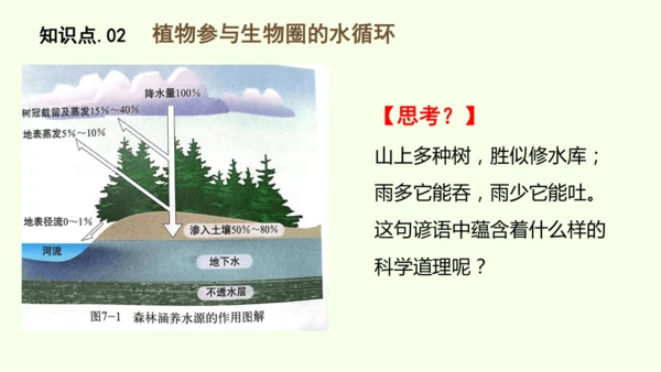 3.2.4植物在自然界中的作用-七年级生物下学期同步精品课件（2024人教版）(共27张PPT)