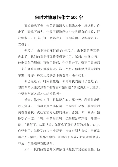 何时才懂珍惜作文500字.docx