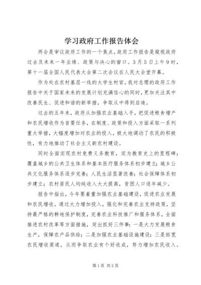 学习政府工作报告体会.docx