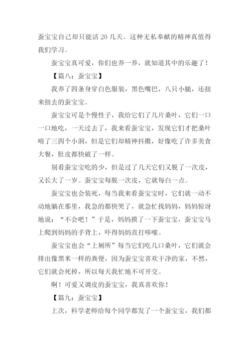 蚕宝宝作文300字.docx