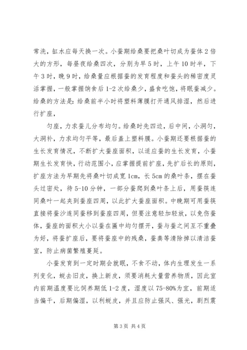 大学生暑期桑蚕区社会实践报告.docx