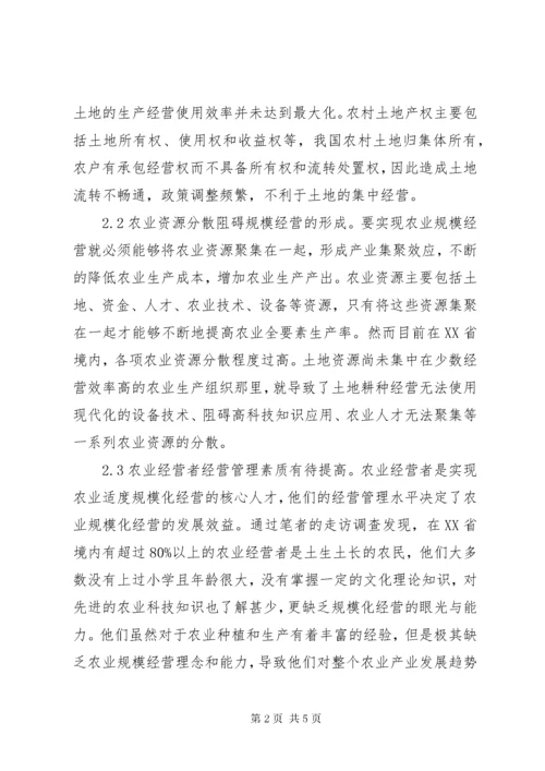 农业适度规模经营模式及实现路径.docx