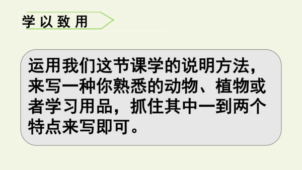 部编版 五年级语文上册第五单元习作例文 《鲸》（课件）