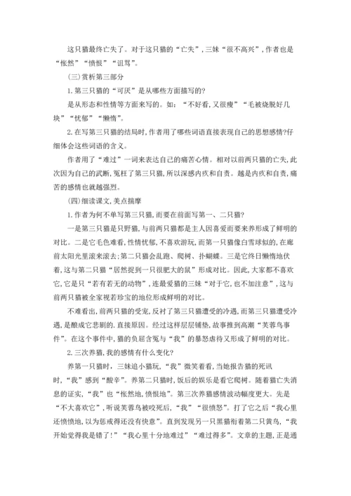 关于猫教案范文七篇.docx