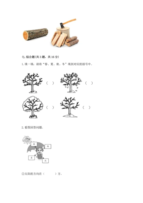 教科版二年级上册科学期末测试卷及参考答案（培优a卷）.docx