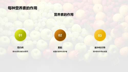 营养饮食与健康生活