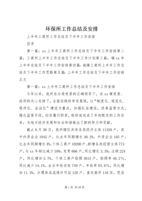 环保所工作总结及安排 (3).docx