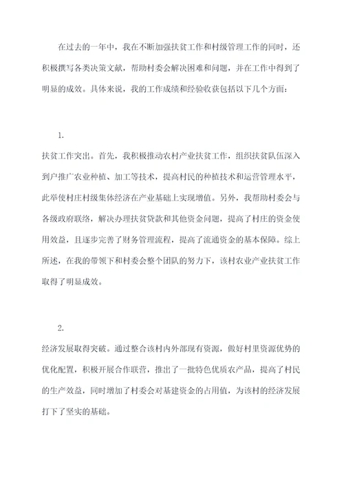 村名政专干述职报告