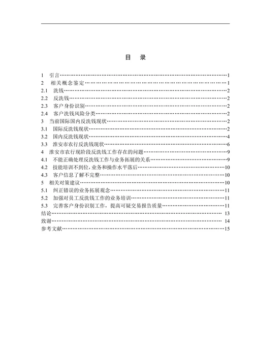 反洗钱毕业论文