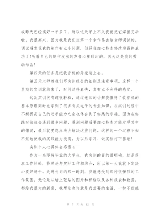 实训个人心得体会感悟2021.docx